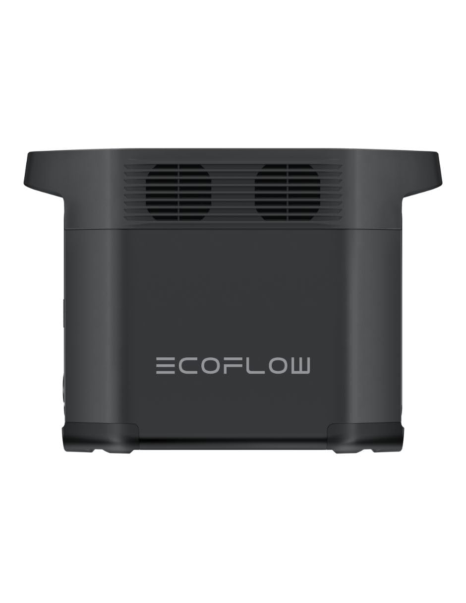 Delta 2 Black (E980) Ecoflow Power Station 980Wh : Amazon.in